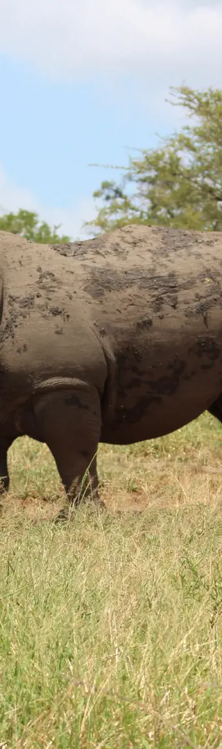 Hluhluwe-iMfolozi-Park